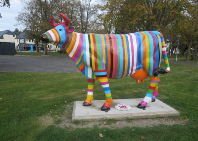 Vache normande